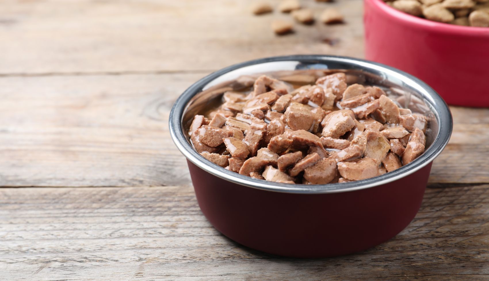 Comida Húmida para Cães